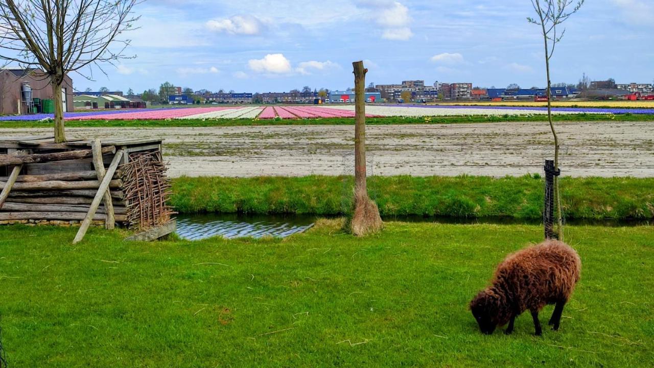 Het Dijkstuk Villa Нордвейкерхаут Екстериор снимка